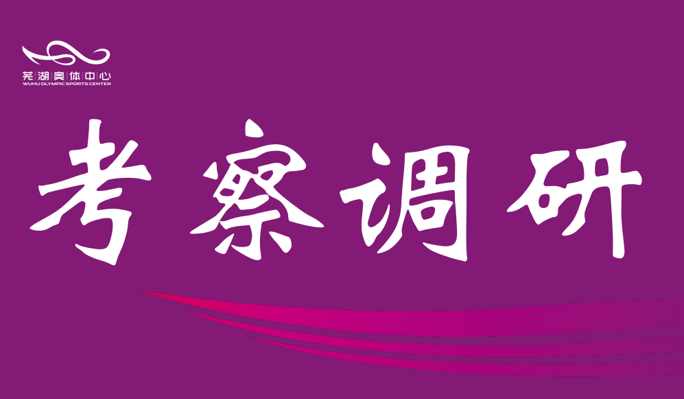 芜湖市政协调研征途国际中心